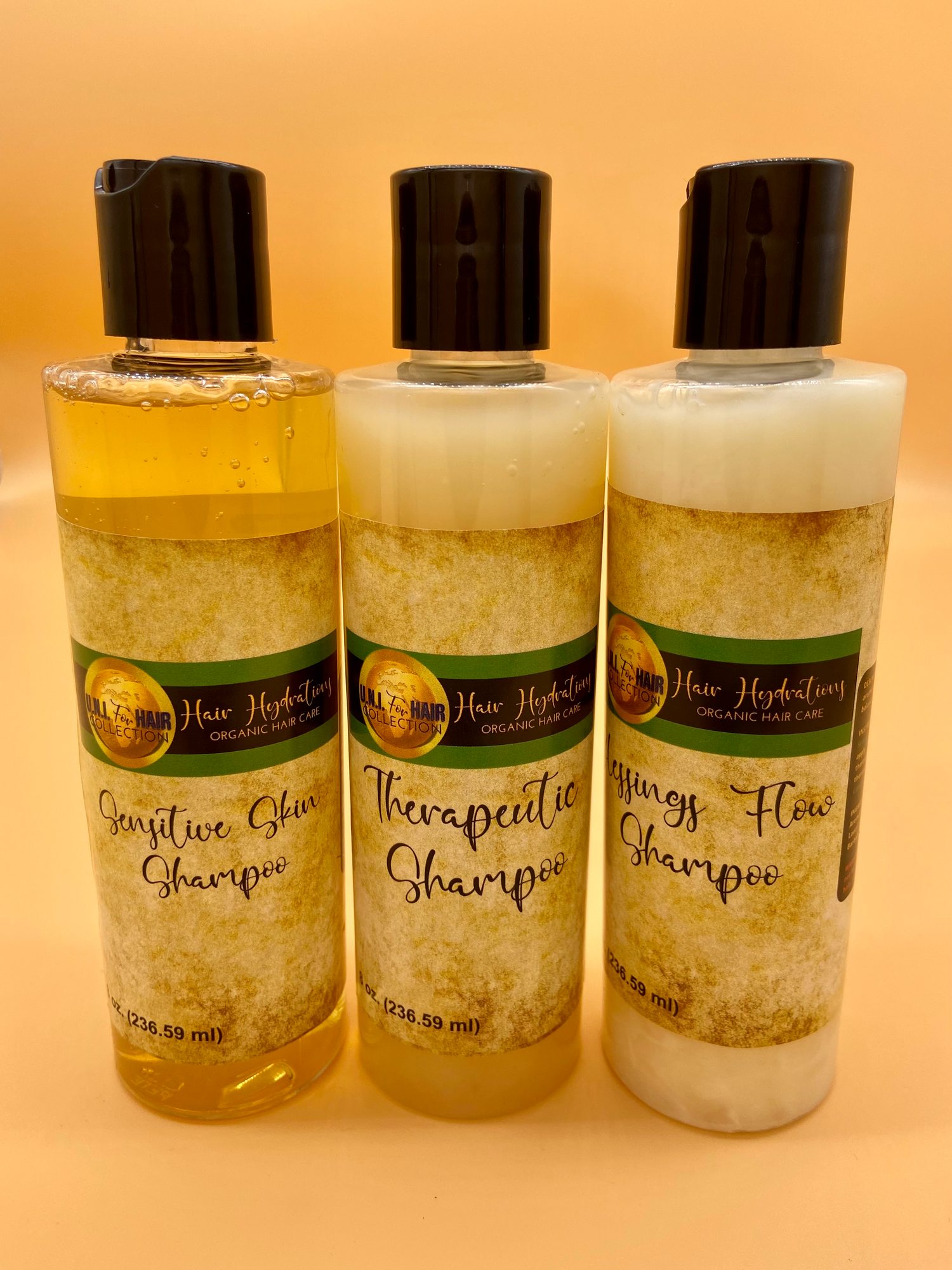 Hair Hydrations Shampoo System